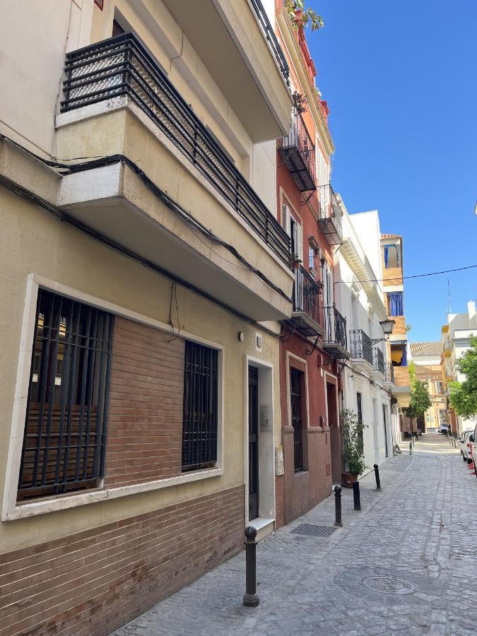 Appartement 180 Luxury Redes